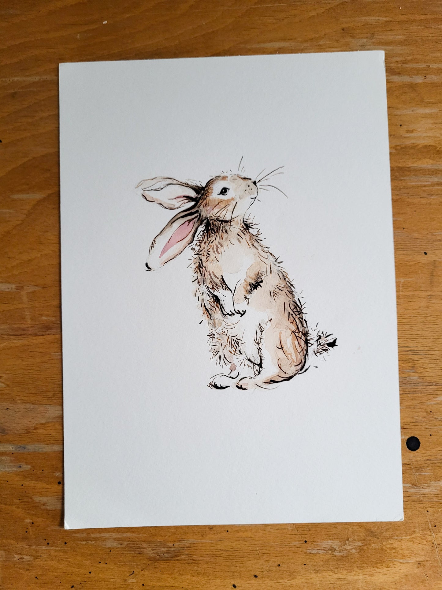 Handsome Bunny Original