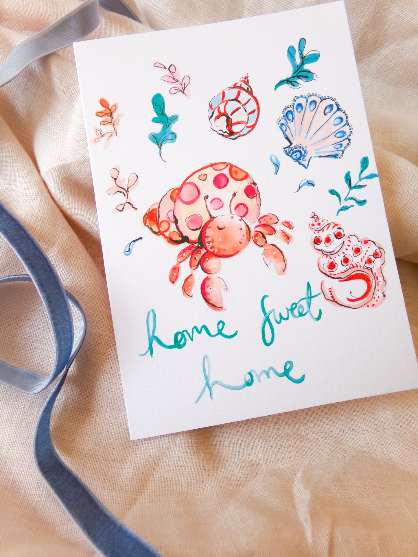 Home sweet home hermit crab