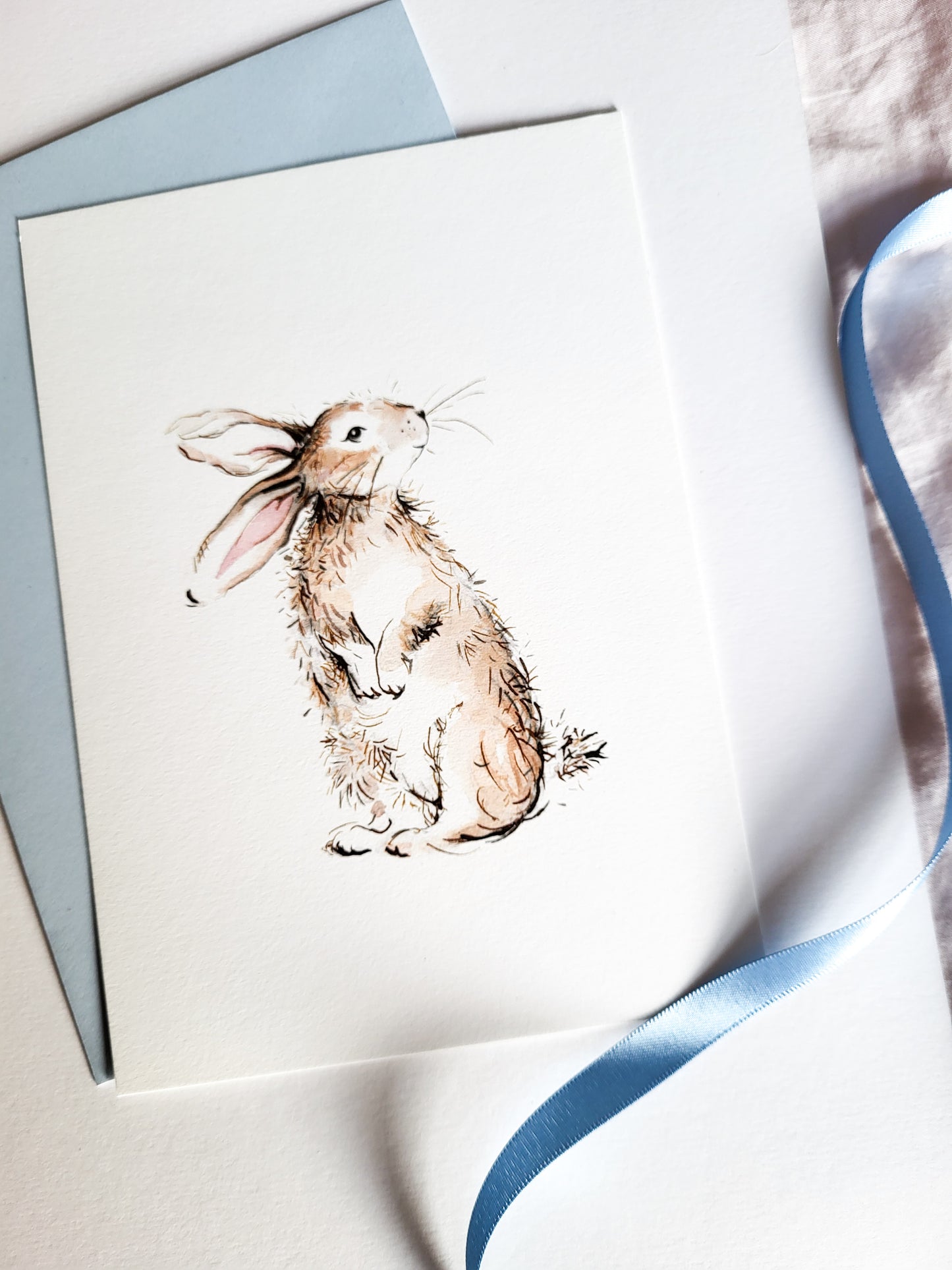 A beautiful Rabbit