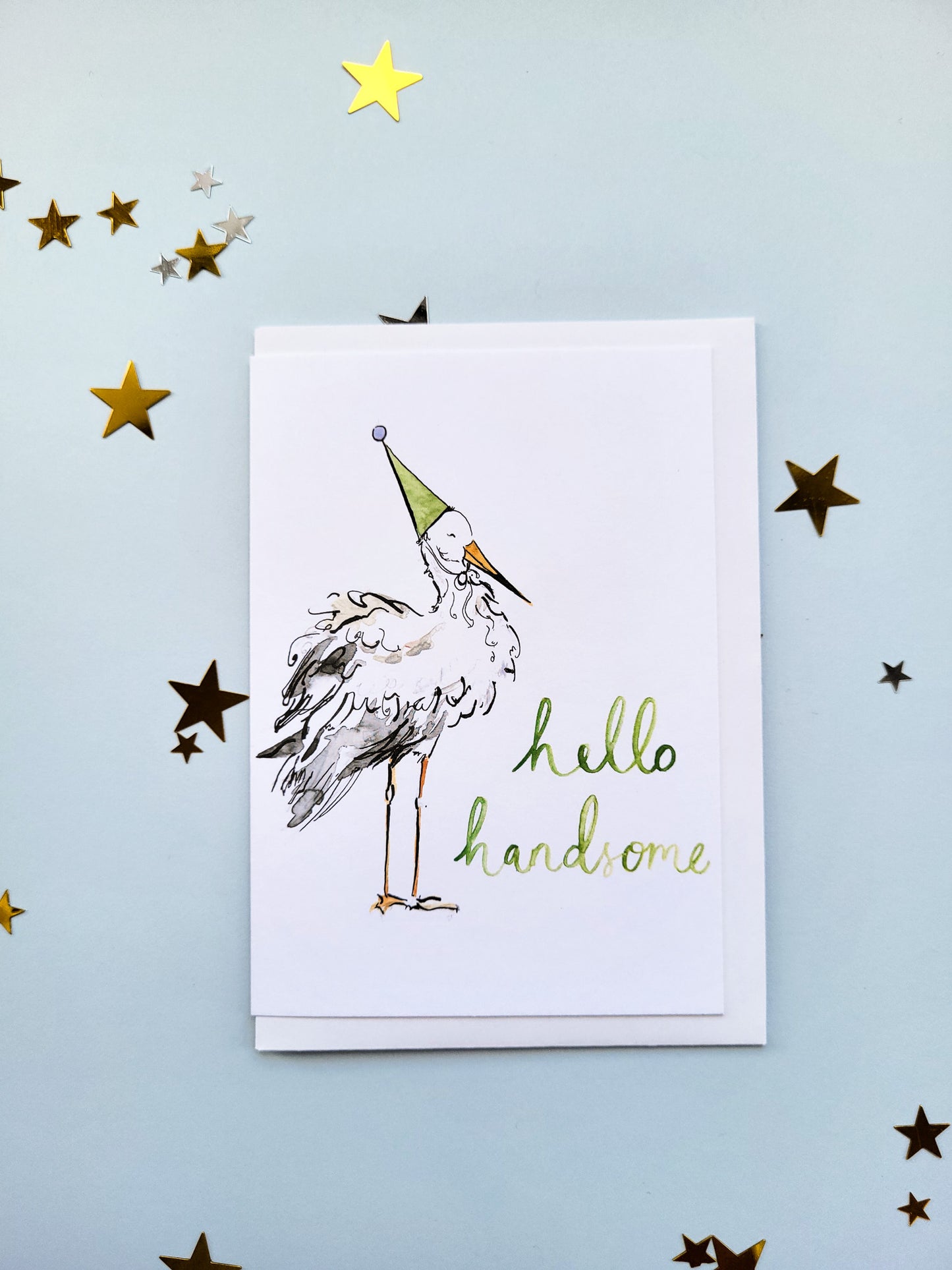 Handsome Stork
